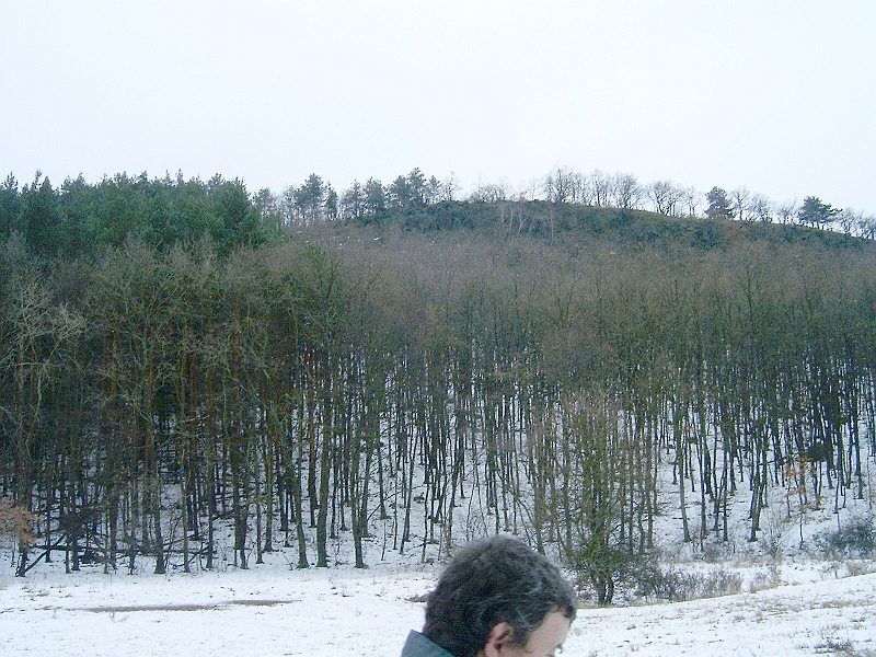 20100220 036.jpg